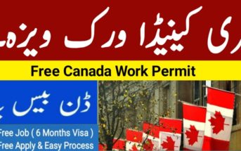 Top 5 Immigration Lawyers Toronto Canada
